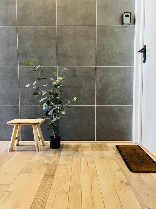 Studio Girafe, Style Boheme Et Atypique, Curistes Luxeuil-les-Bains Kültér fotó