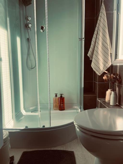 Studio Girafe, Style Boheme Et Atypique, Curistes Luxeuil-les-Bains Kültér fotó